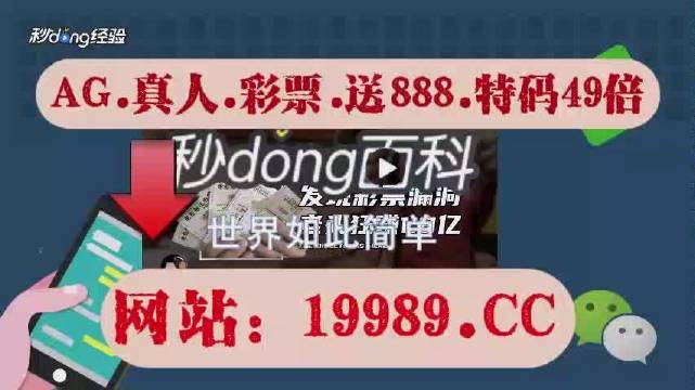 2024澳门天天开好彩大全免费,决策资料解释落实_Device77.141