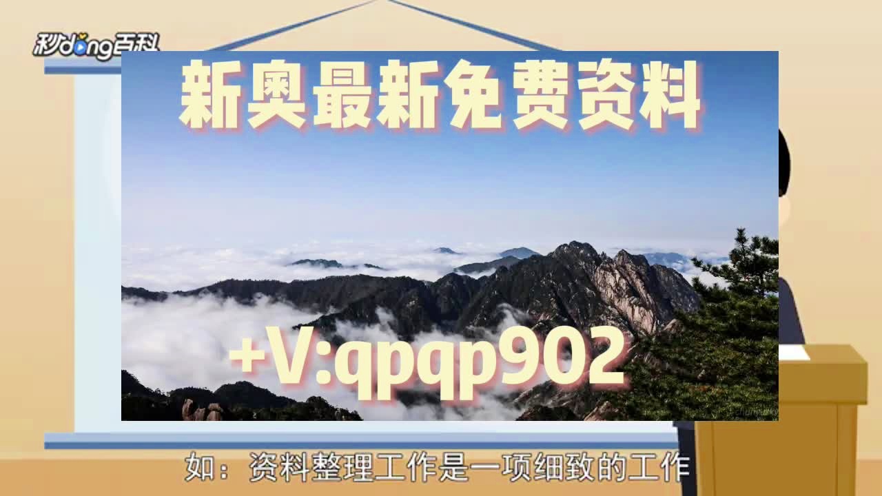 2020正版免费资料大全了2期,实地方案验证_终极版52.951