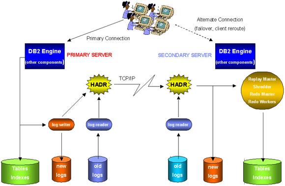 新澳今天最新免费资料,深层数据执行策略_Console92.331