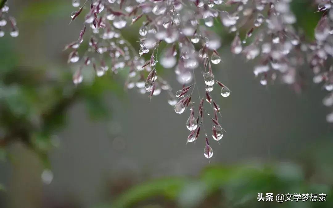 寒露节气，诗意探寻二十四节气之寒露