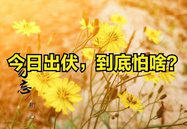 白露节气，探寻时间的意义与2024年的独特韵味