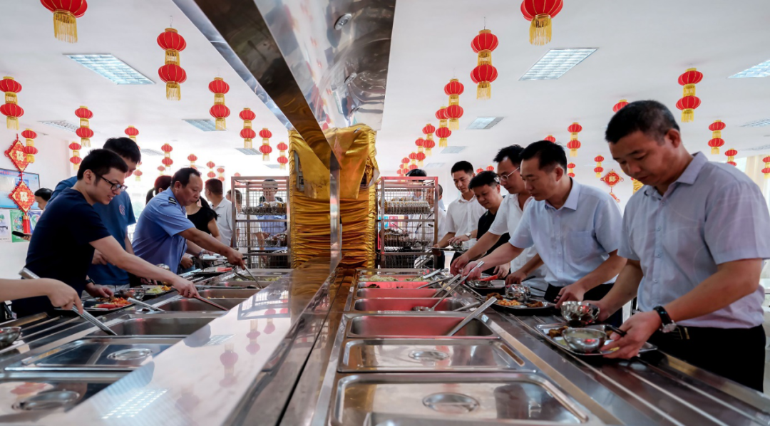 县政府机关食堂用餐热潮，社会现象的深度观察