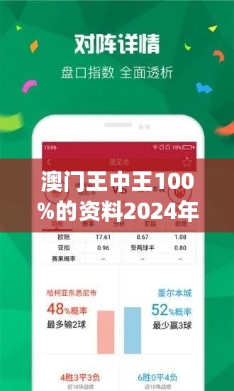 2024年澳门王中王100,专业分析解析说明_3K55.322