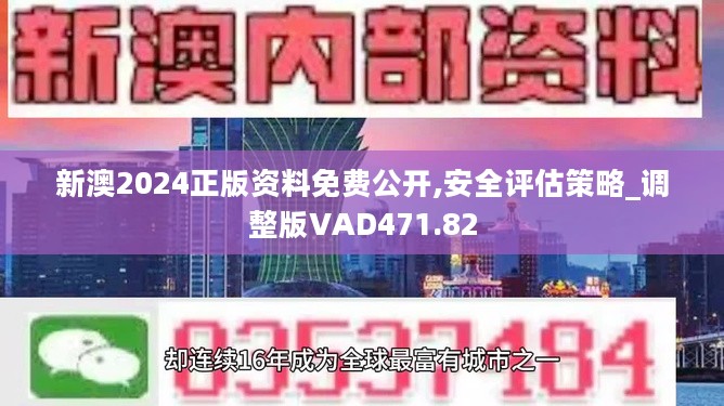 2024新奥资料免费精准资料一2024,灵活执行策略_3DM56.316