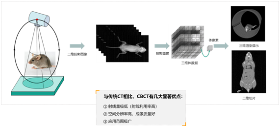 新澳精准资料免费提供网,正确解答定义_CT80.866