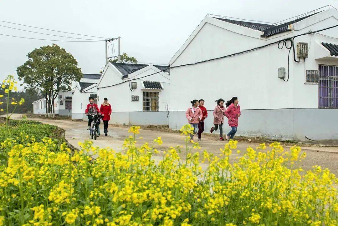 孝昌县经济状况与多元视角的地区发展分析