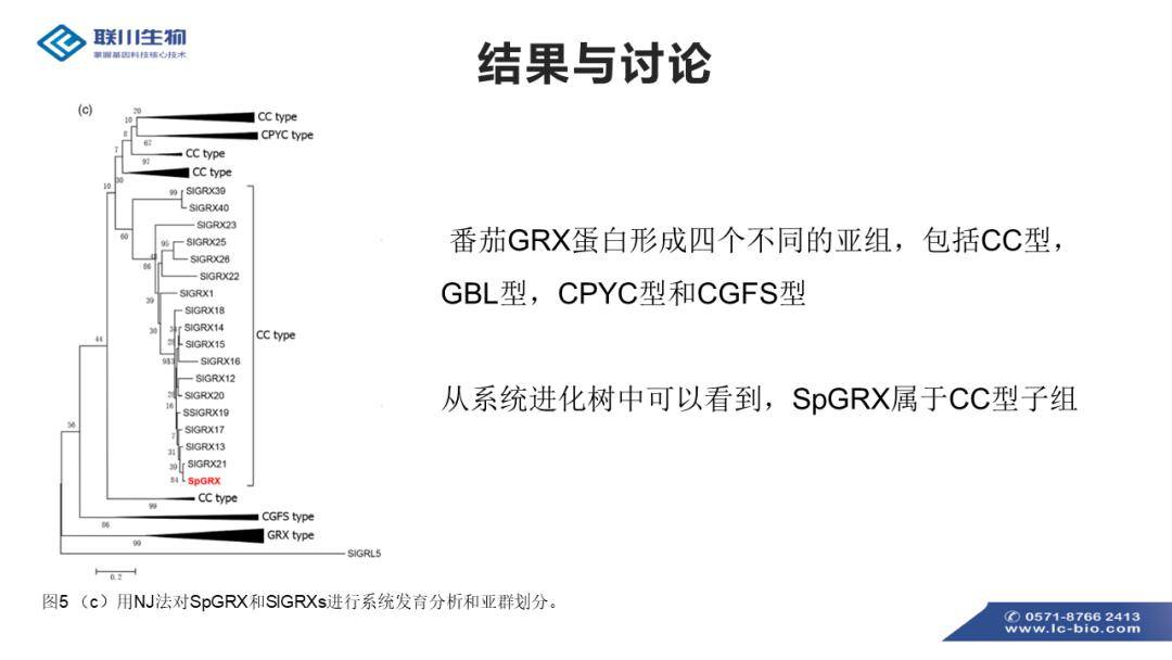 香港全年资料免费,调整方案执行细节_iShop18.530