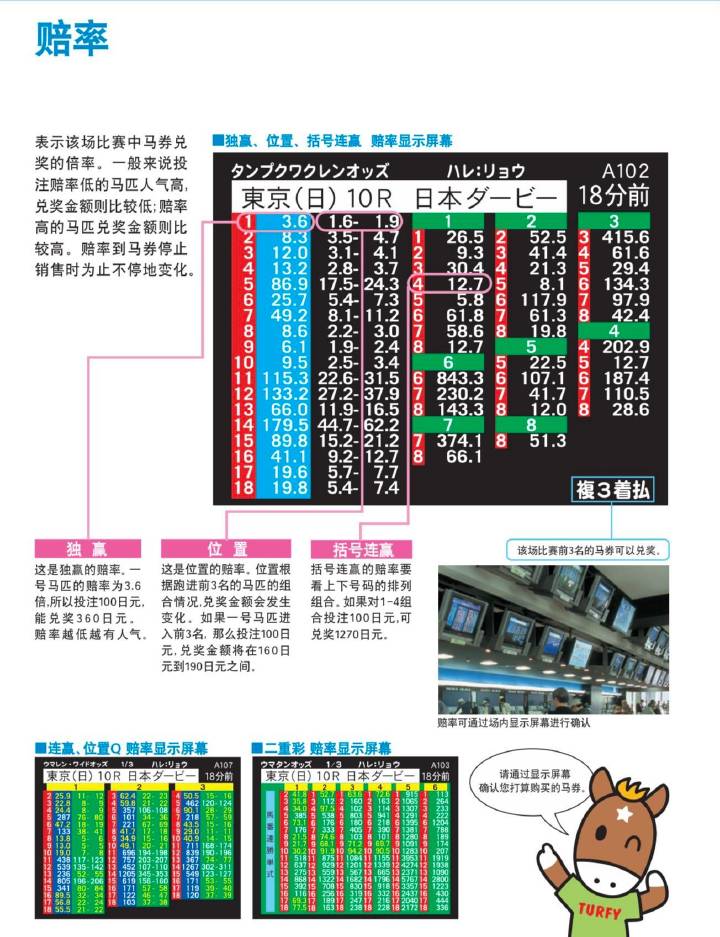 马会传真,实效性策略解析_OP69.376