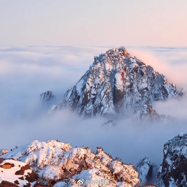 黄山金色雪景惊艳，雪落松间金黄璀璨