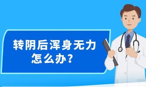 新澳精准资料大全免费更新,系统分析解释定义_SHD93.539