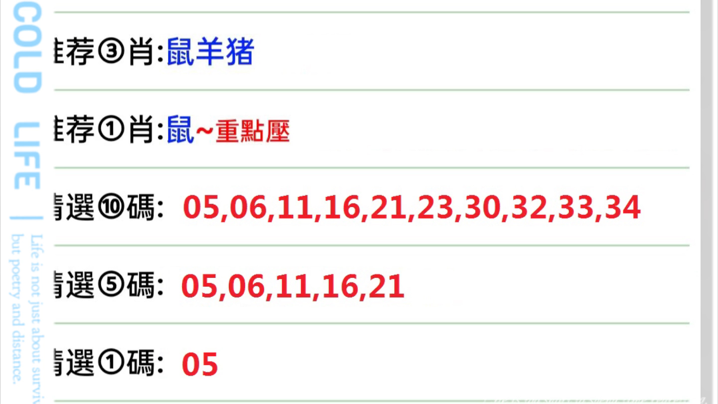 2024年12月1日 第40页