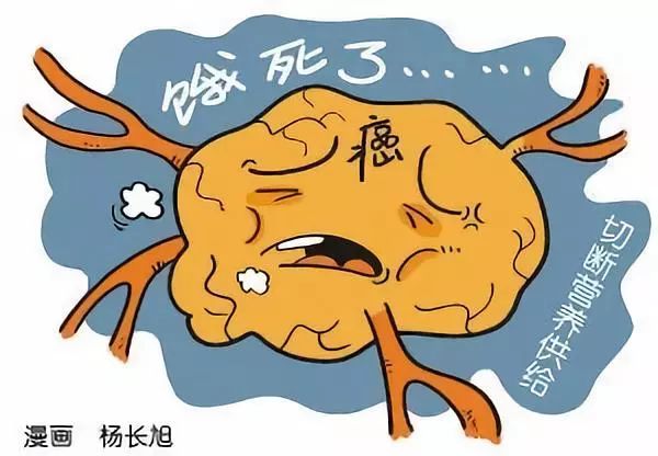 生酮饮食能否对抗癌细胞，探究其科学性与争议性