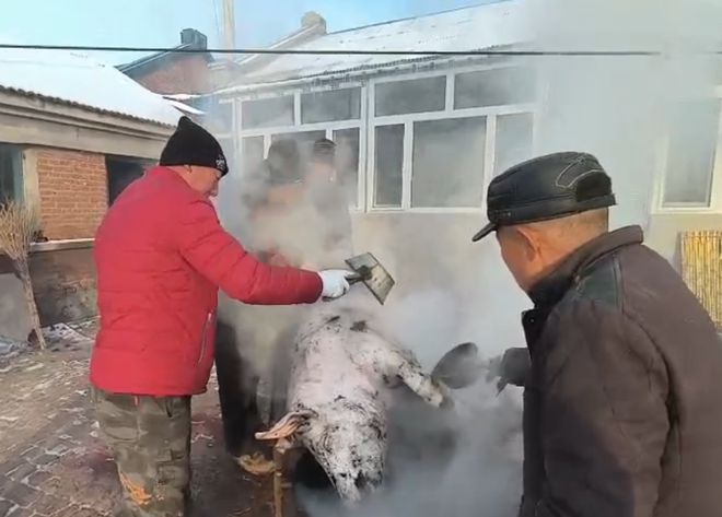 跨越时空的父子情深，呼唤与归心之旅