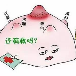 增生性乳腺病，乳腺结构变化的意义、影响及揭示