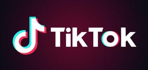 TikTok背后的挑战与策略考量，寻求临时禁制令之路