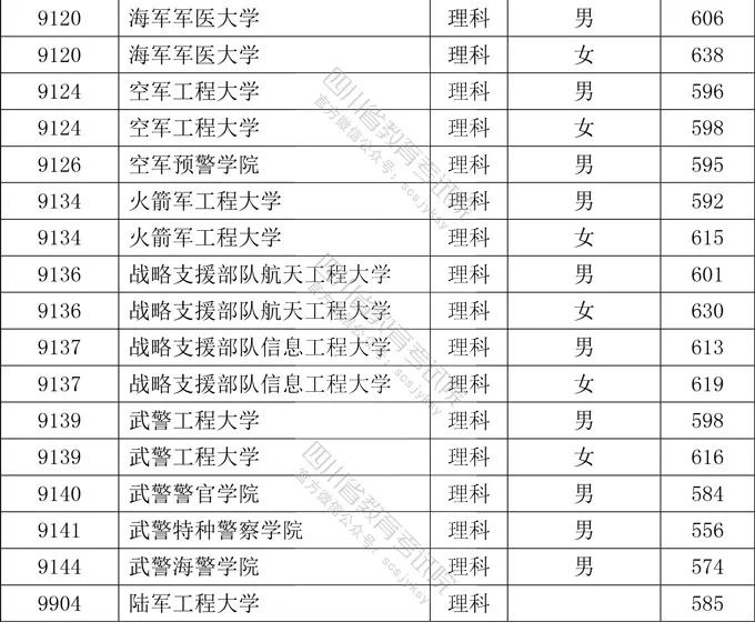 2024年12月9日 第31页