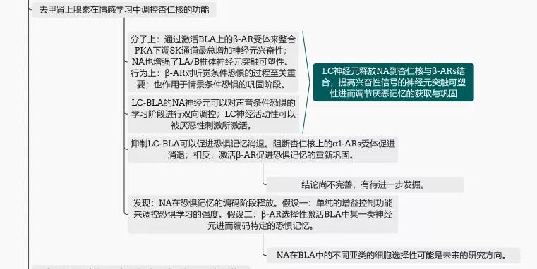 意外钓获编码鱼，探寻起源的网友旅程