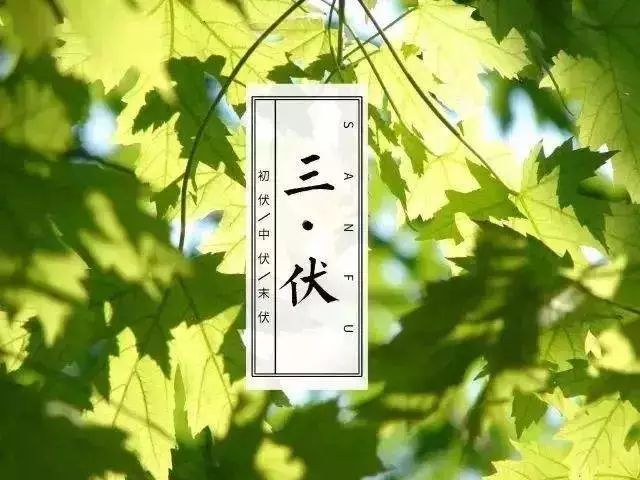 三伏天解析，炎热夏季的特定时段，从几月到几月？