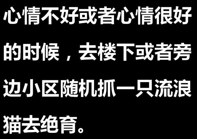 探索独特解压之道，个性化小众爱好助你轻松释放压力