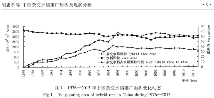 缺粮危机下的连锁反应，社会经济深度剖析