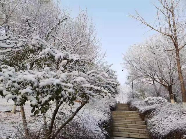 济南雪日美景