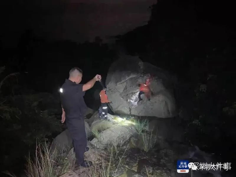 悲剧启示，男子登山意外丧命，孩子纯真面对生命脆弱