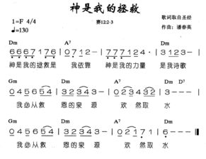 2024年12月19日 第5页