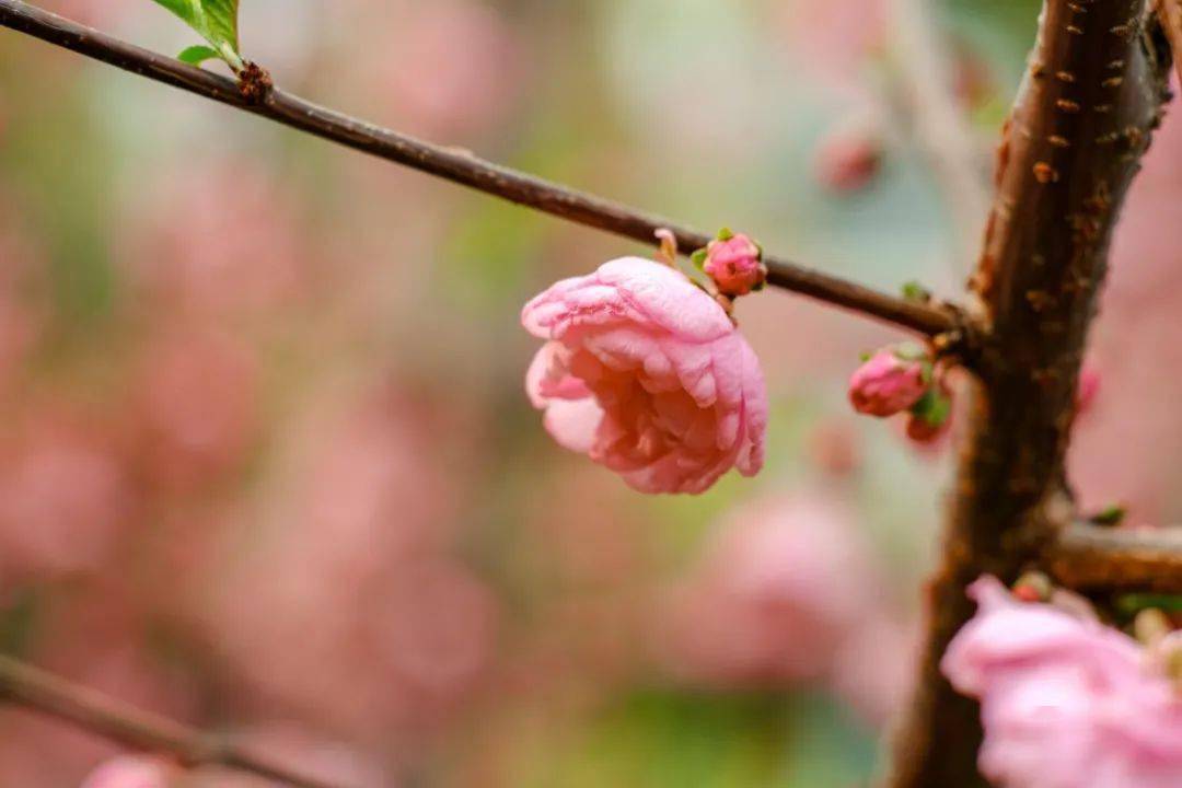 立春养生，健康细节不容忽视