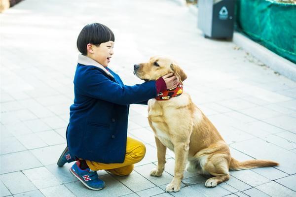 神犬小七与乐乐的温馨生活之旅