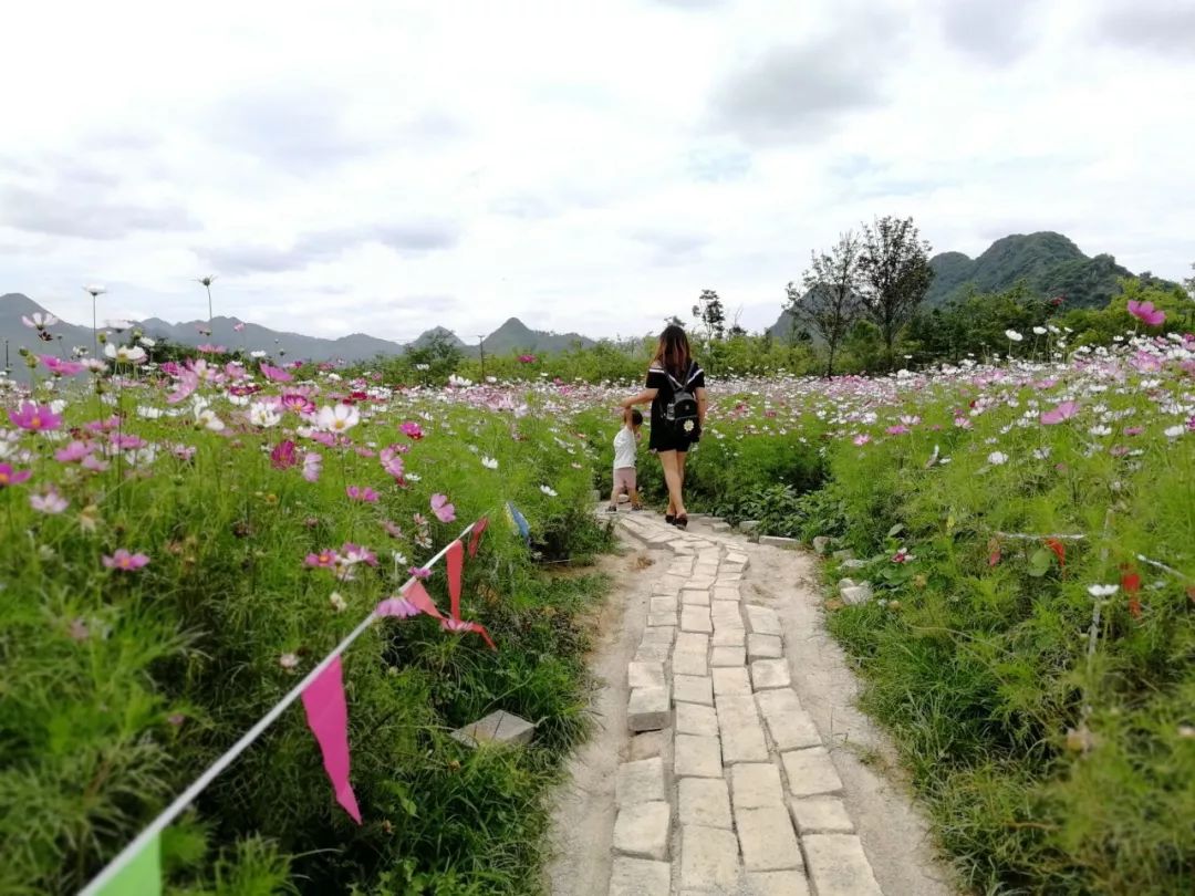 花海退役，岁月荣光与未来绽放之路