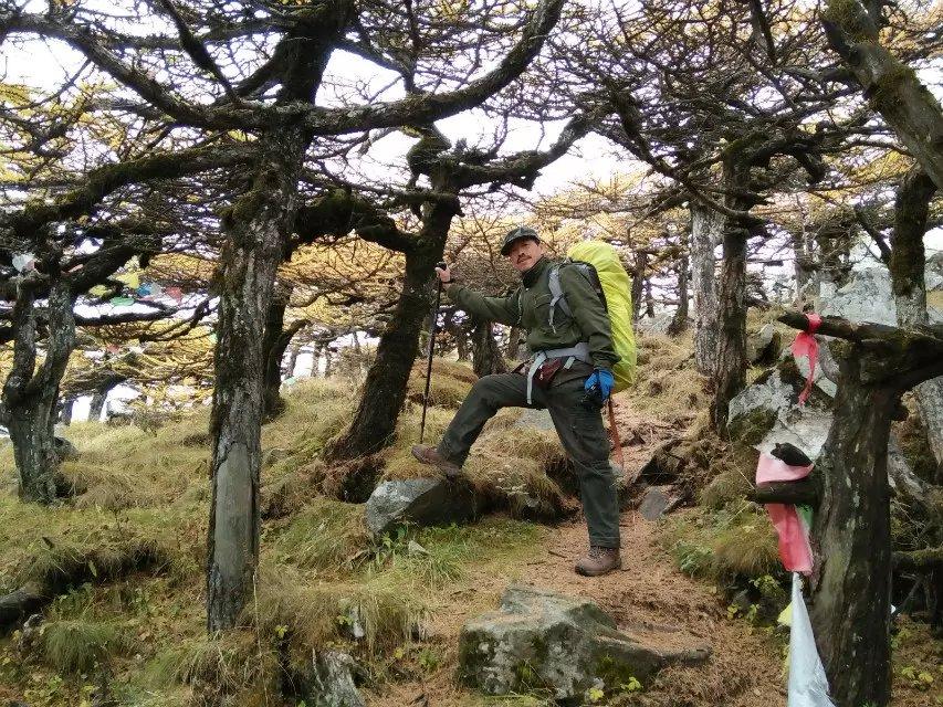 冰晶顶景区探秘，自然巅峰之美体验