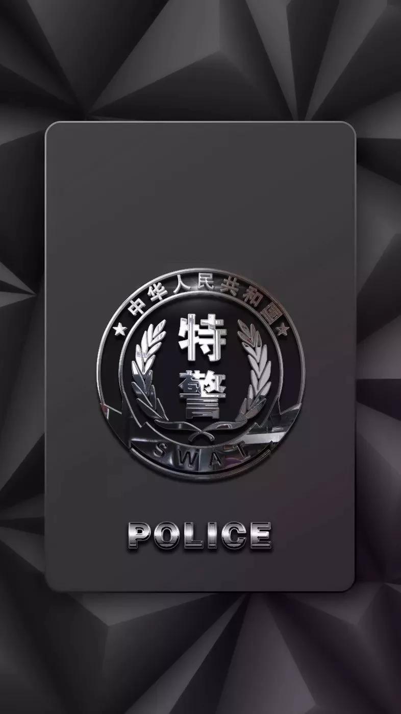 人民警察电视剧，英雄背后的故事揭秘