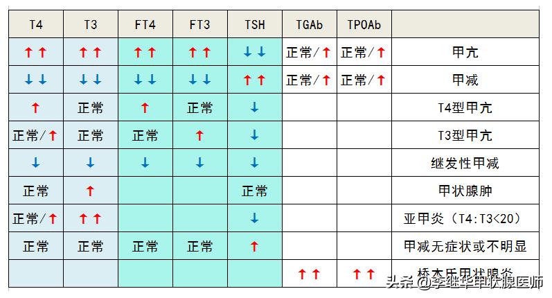 TSH正常值参考范围及其重要性解析