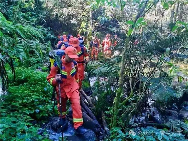 哀牢山诡异事件揭秘，深度解析十大未解之谜