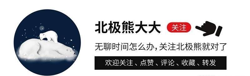 小杨哥直播回放，梅菜扣肉烹饪之旅全程回顾