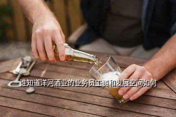 洋河业务员辞职现象深度剖析