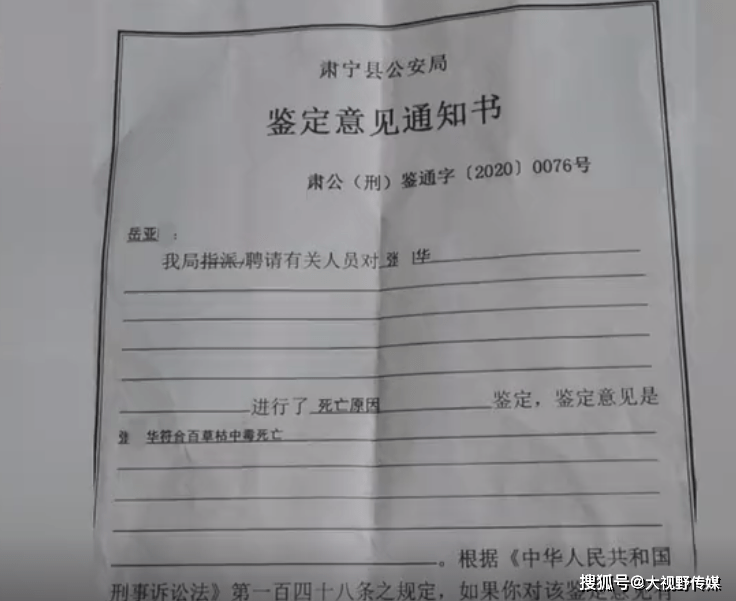 三只羊沫沫取保候审消息解读