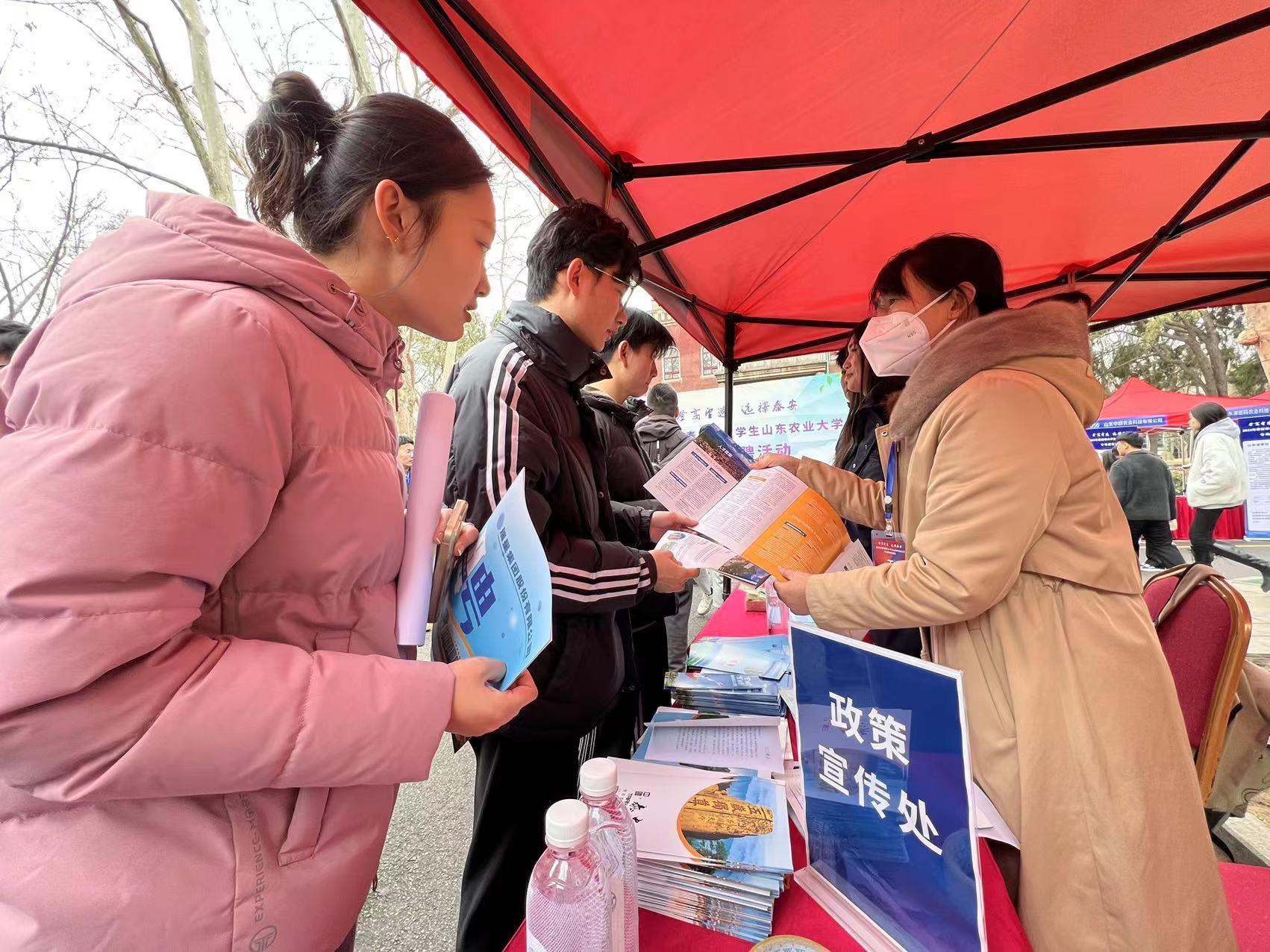 山东农大真相揭秘，探寻大学的真实面貌