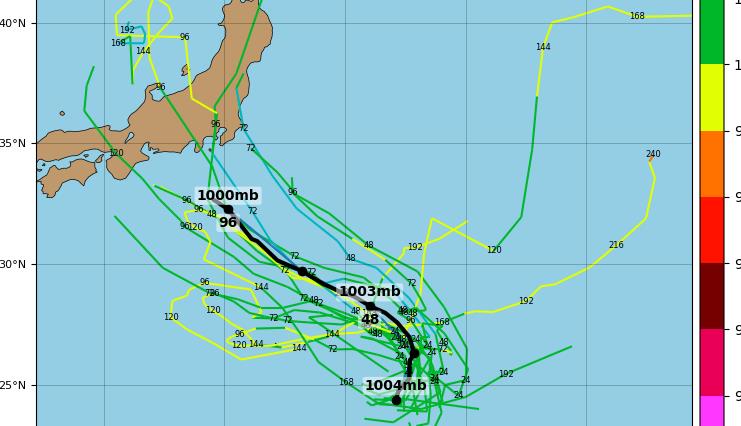 台风路径实时监测与预测，守护安全的预警先锋