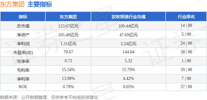 东方集团涨停板触发，市场走势深度解读与未来展望