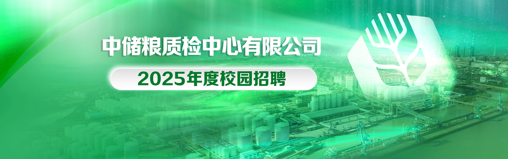 中储粮集团未来招聘蓝图展望，探索校园招聘之旅（2025年展望）