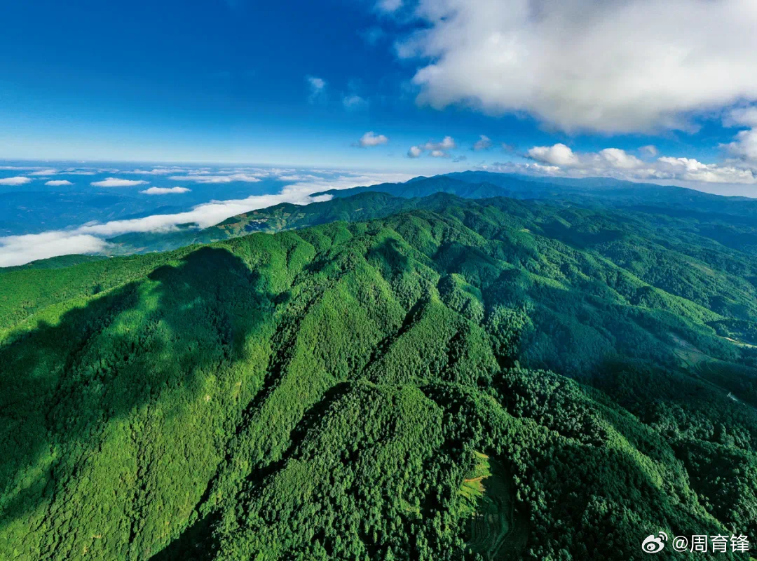 哀牢山与神农架探险之旅，凶险对比解析