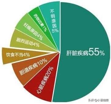 天门冬氨酸氨基转移酶高揭示的肝脏健康信号