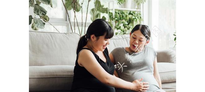 丁克夫妇的人生错位，丈夫秘密生子引发深度探讨