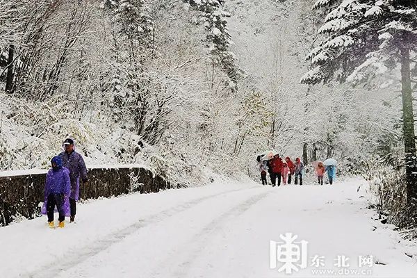 景区棉花造雪引发争议，现实与虚拟界限模糊成照骗风波