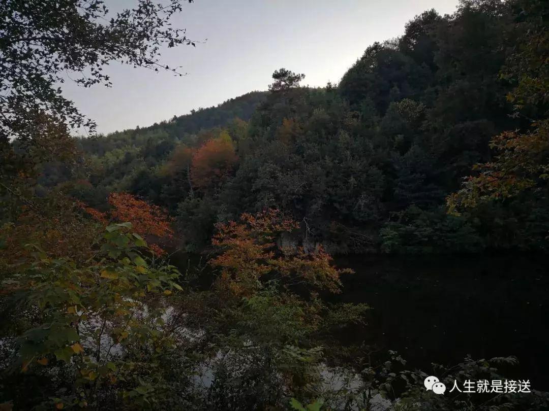 安徽跨年夜悲剧，男子酒后点燃礼花弹瞬间爆炸，燃放礼花弹安全须知必须牢记心头