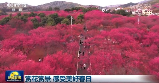 春日赏花赏景，尽享美好时光