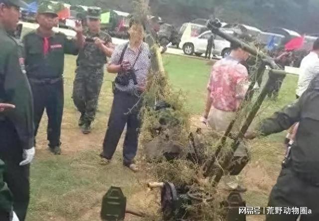 妙瓦底电诈园遭遇三国联合打击，跨国犯罪治理的新里程碑