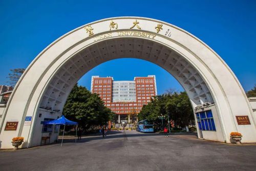 全红婵保送暨南大学，体育成就与学术风采的完美结合之旅