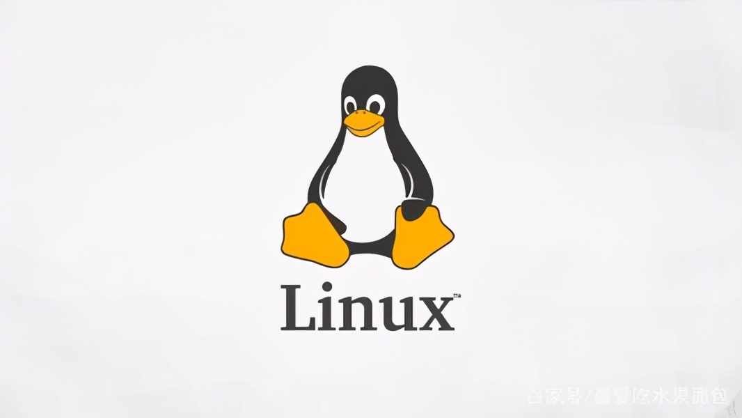 我为什么选择使用特定的Linux发行版，深度解析与体验分享